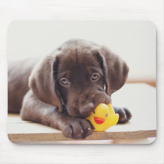 Tapis De Souris Chocolat Labrador Chiot Avec Canard De Jouet (Devant)