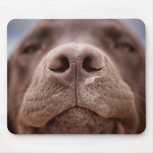 Tapis De Souris Chocolat Labrador Closeuse du nez (Devant)