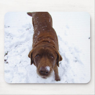 Tapis De Souris Chocolat Labrador dans la neige