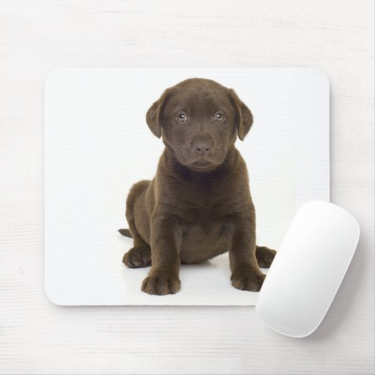 Tapis De Souris Chocolat Labrador Mousepad (Avec souris)