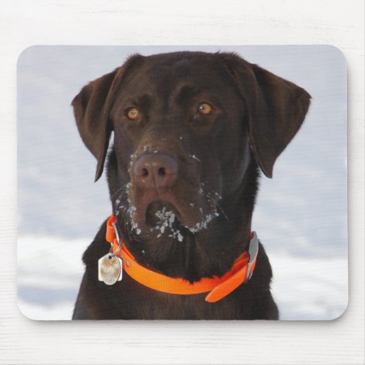 Tapis De Souris Chocolat Labrador Mousepad (Devant)