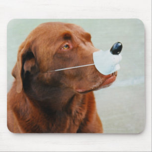 Tapis De Souris Chocolat Labrador portant un faux nez