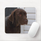 Tapis De Souris Chocolat labrador retriever (Avec souris)