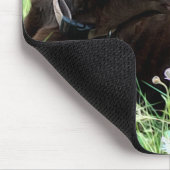 Tapis De Souris Chocolat Labrador Retriever Chasse Chien Photo (Coin)