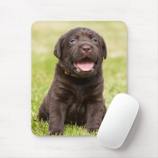 Tapis De Souris Chocolate Lab Puppy (Avec souris)