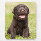 Tapis De Souris Chocolate Lab Puppy (Devant)