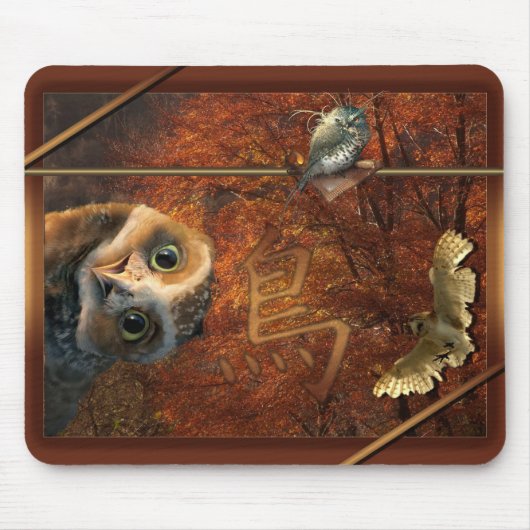 Tapis de souris chouette (Devant)