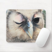 Tapis De Souris Chouette (Avec souris)
