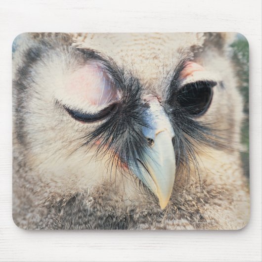 Tapis De Souris Chouette (Devant)