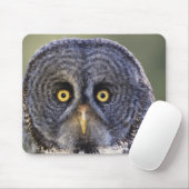 Tapis De Souris Chouette 3 (Avec souris)