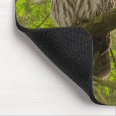Tapis De Souris Chouette barrée (Coin)