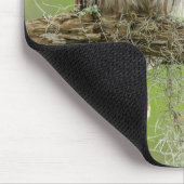 Tapis De Souris Chouette barrée sur le membre de l'arbre (Coin)