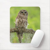Tapis De Souris Chouette barrée sur le membre de l'arbre (Avec souris)