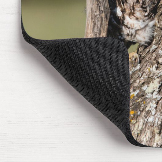 Tapis De Souris Chouette de l'Est (Coin)