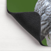 Tapis De Souris Chouette grise (Coin)