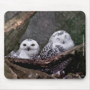 Tapis De Souris Chouette Harfang Couple Art Bois Faune