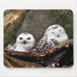 Tapis De Souris Chouette Harfang Couple Art Bois Faune