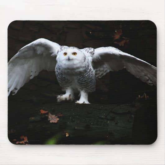 Tapis De Souris Chouette neige avec ailes ouvertes mpcnm (Devant)