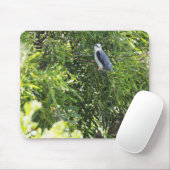 Tapis De Souris Chouette perchant sur un arbre (Avec souris)