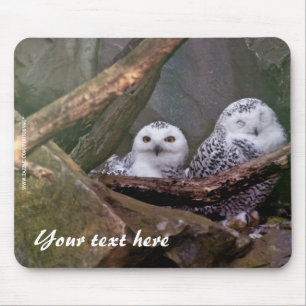Tapis De Souris Chouettes des neiges Mousepad