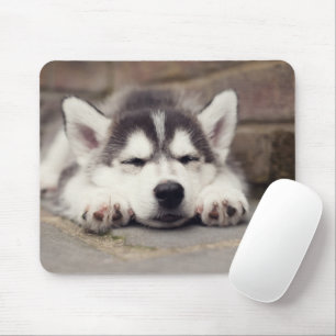 Tapis De Souris Chuppy Husky Sleeping
