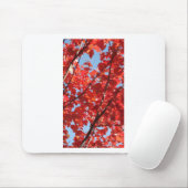 Tapis De Souris Chute rouge (Avec souris)