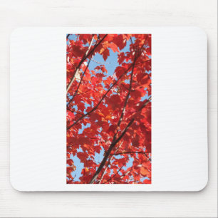 Tapis De Souris Chute rouge