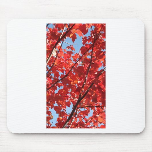 Tapis De Souris Chute rouge (Devant)