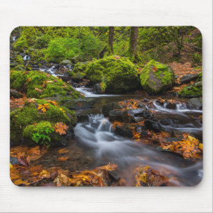 Tapis De Souris Chutes de Starvation Creek Columbia Gorge, Orego