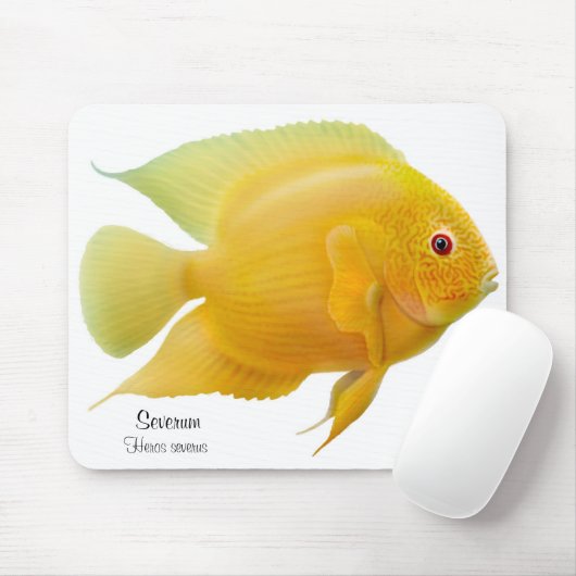 Tapis De Souris Cichlid d'or Mousepad de Severum (Avec souris)