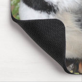 Tapis De Souris Cickadee Noir-couvert (Coin)
