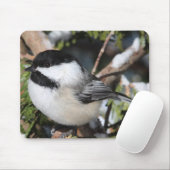 Tapis De Souris Cickadee Noir-couvert (Avec souris)