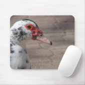 Tapis De Souris Ciel (Avec souris)