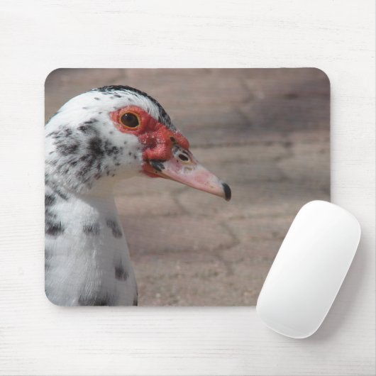 Tapis De Souris Ciel (Avec souris)