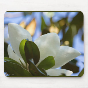 Tapis De Souris Ciel de Verre Peint Magnolia du Sud Vêtements Cade