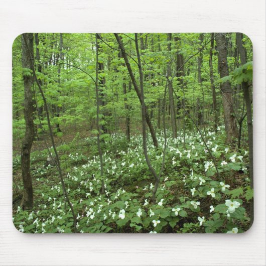 Tapis De Souris Ciel Mousepad de Trillium (Devant)