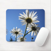 Tapis De Souris Ciels bleus (Avec souris)