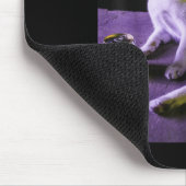 Tapis De Souris Cigarette Kitten Drôle Fumer Chat Mème Bra Stupide (Coin)