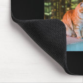 Tapis De Souris Cigarette Kitten Drôle Fumer Mème Chat Stud Cervea (Coin)