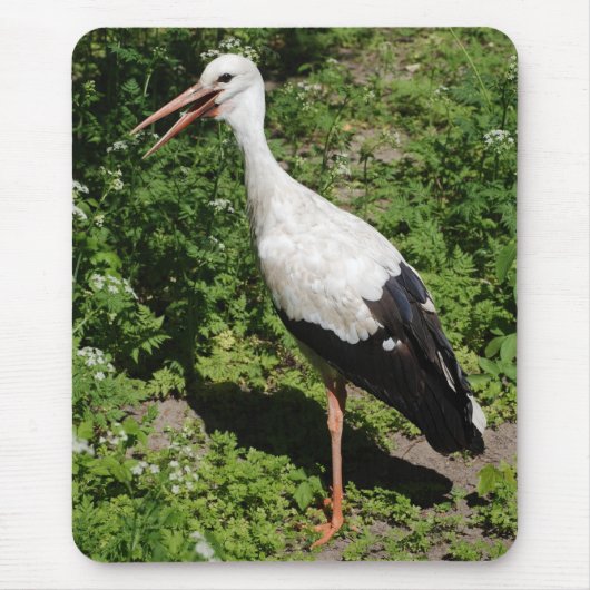 Tapis De Souris cigogne (Devant)