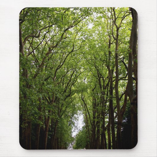 Tapis De Souris Cimes d'arbre verticales (Devant)