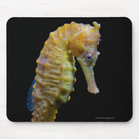 Tapis De Souris cintre ascendant forme éprehensile long (Devant)