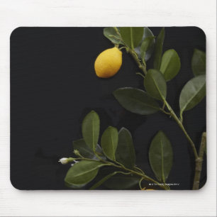 Tapis De Souris Citrons toujours sur leur branche