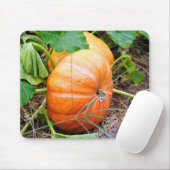 Tapis De Souris Citrouille orange de Cendrillon (Avec souris)