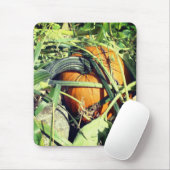 Tapis De Souris Citrouille Sur La Vigne Nature (Avec souris)