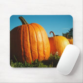 Tapis De Souris Citrouilles (Avec souris)