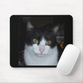 Tapis De Souris Clari (Avec souris)