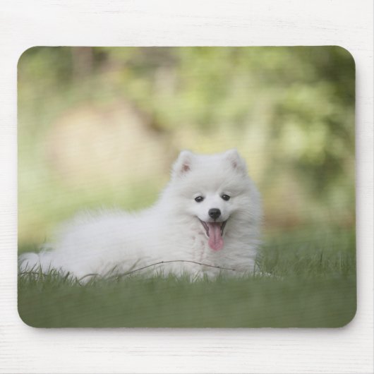 Tapis De Souris Clé blanche souple Chiot (Devant)