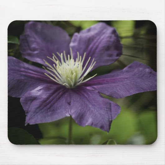 Tapis De Souris Clematis 8510 Mousepad (Devant)