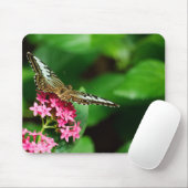 Tapis De Souris Clipper sur Pentas 2 Mousepad (Avec souris)